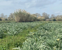 
		Gestió d’explotacions agràries. Control de costos
	