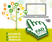 S'obren noves inscripcions a 10 cursos a distància