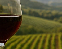 
		Comercialització: sector enoturístic i oleoturístic
	