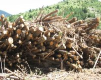 S'obren noves inscripcions a 10 cursos a distància