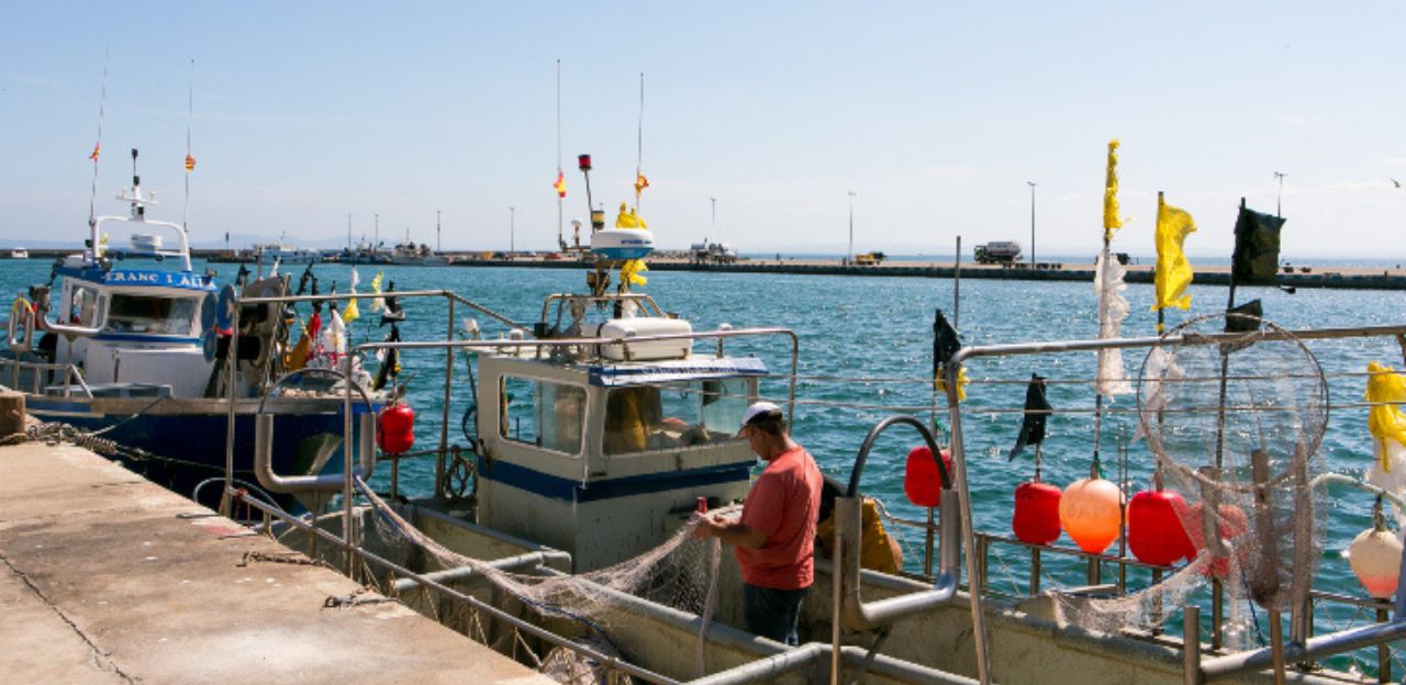 El conseller Ordeig presentant la campanya de suport al sector pesquer.
			
			
				espot i tota la pesca