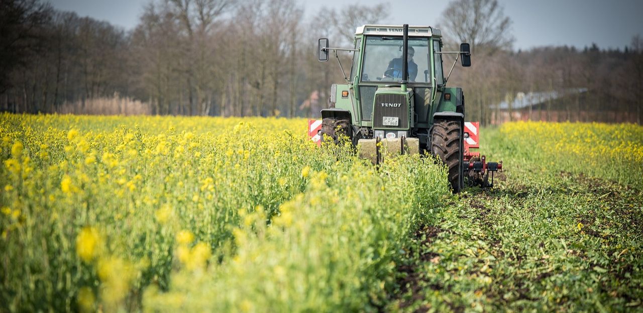 Un centenar de persones assisteixen a ponències sobre les plagues i la seva gestió al sector hortícola