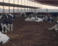 
		Formació de personal que treballa en granges bovines
	