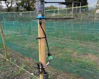 
		Ús de sensors en cultius hortícoles
	