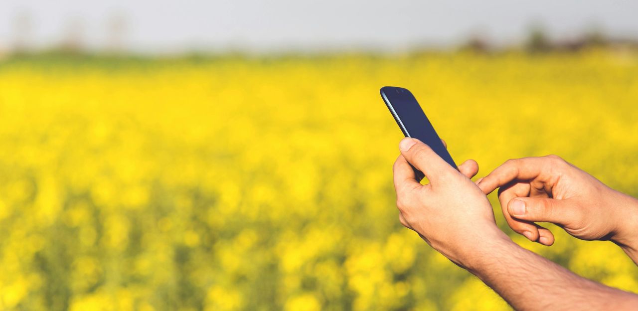 Publicats els resultats de l’enquesta sobre l’estat de la digitalització i adopció de l’agricultura de precisió al sector agroalimentari a Catalunya