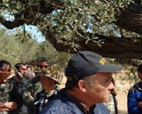 
		Curs bàsic de mestre d’almàssera
	