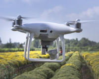 
		Curs nivell pilot d’aplicador de fitosanitaris
	