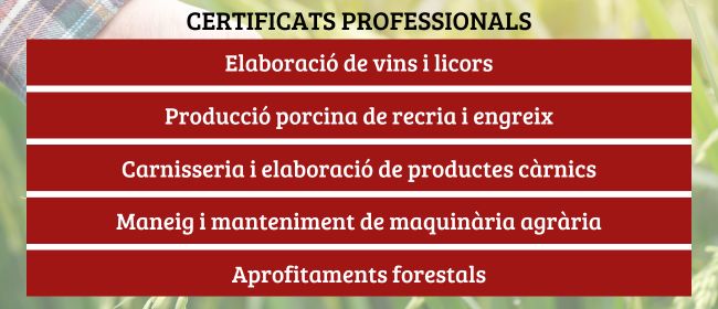 Requalificar i professionalitzar el sector agroalimentari, l’objectiu dels certificats professionals