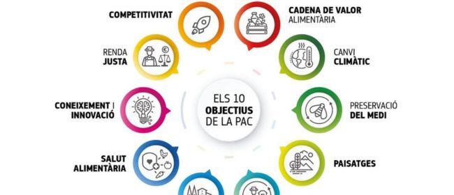 Nou curs per a la gestió empresarial del sector primari adreçat als joves interessats en incorporar-se al món agrari