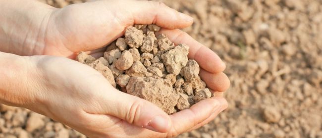 Nova calculadora per ajustar la fertilització nitrogenada: coneix el nitrogen aportat