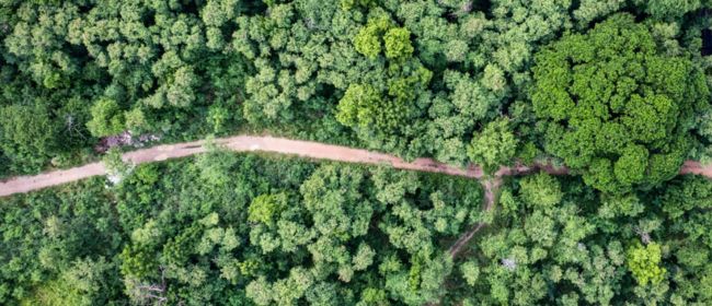 CARBOPETJA: Una eina digital per reduir la petjada de carboni en la producció de pinsos a Catalunya