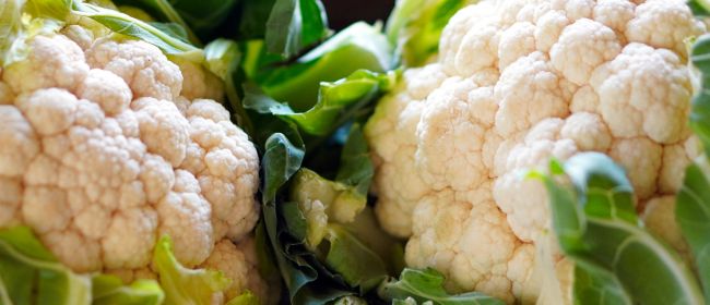 Butlletins d’informació fitosanitària per al mes de novmbre de 2025