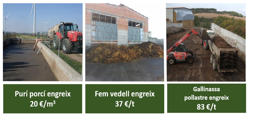 Valor fertilitzant de les dejeccions ramaderes (preus de gener a agost de 2025)