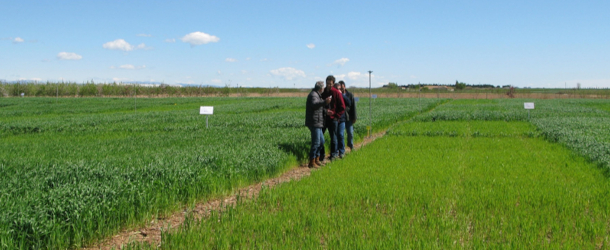 Ja s’ha publicat la convocatòria d’ajuts per a l’assessorament en fertilització. Les sol·licituds es poden presentar a partir del 2 de setembre de 2025