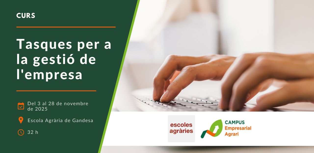 Curs 'Tasques per a la gestió de l'empresa'