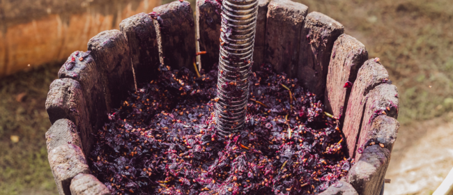 Convocatòria oberta als ajuts a la destil·lació de subproductes de la vinificació de la campanya 2025-2026