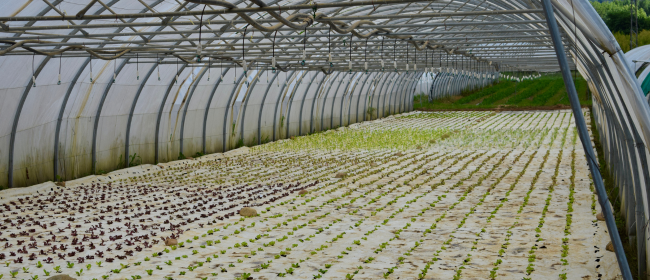 La xarxa de dinamitzadors de l'agricultura ecològica catalana creix un 118% i arriba als 73 tècnics al territori