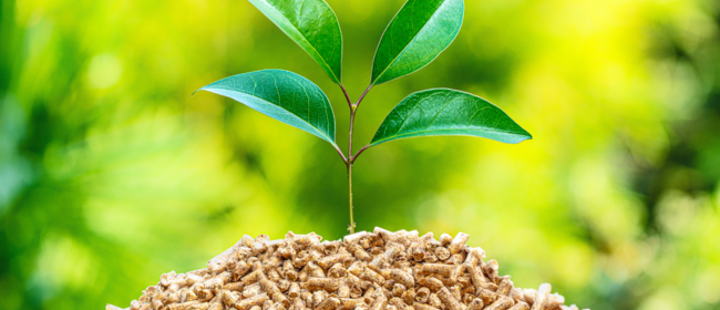 Una empresa espanyola impulsa un projecte de bioenvasos i busca socis industrials a Europa