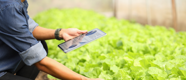Oberta la convocatòria de la 2a edició d’Impuls AgriTech, el programa de pre-acceleració per a projectes d’innovació agroalimentària