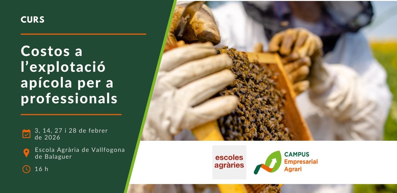 Curs 'Costos a l’explotació apícola per a professionals'