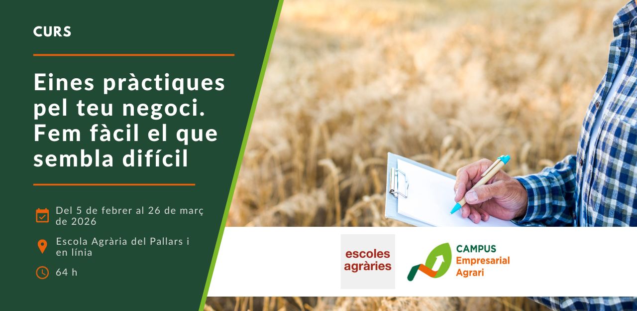 Curs: 'Eines pràctiques pel teu negoci. Fem fàcil el que sembla difícil'