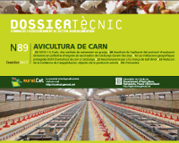 Texte alternatiu