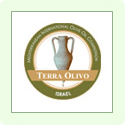 Logo Terraolivo Competition