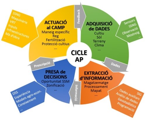 Esquema del cicle de l'Agricultura de Precisió