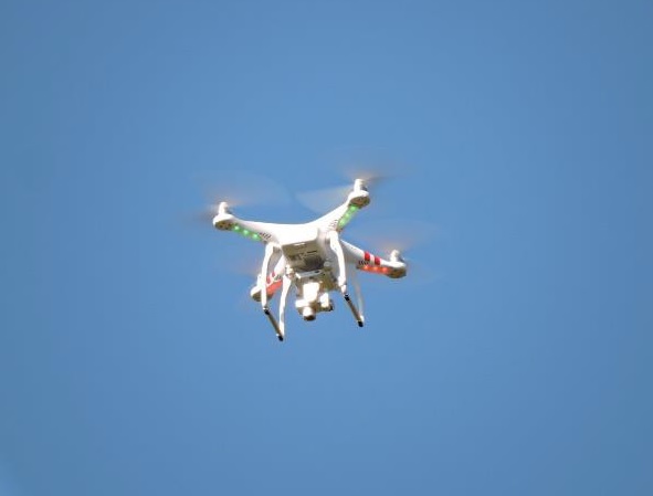 Drons i fauna salvatge: aplicacions pràctiques.