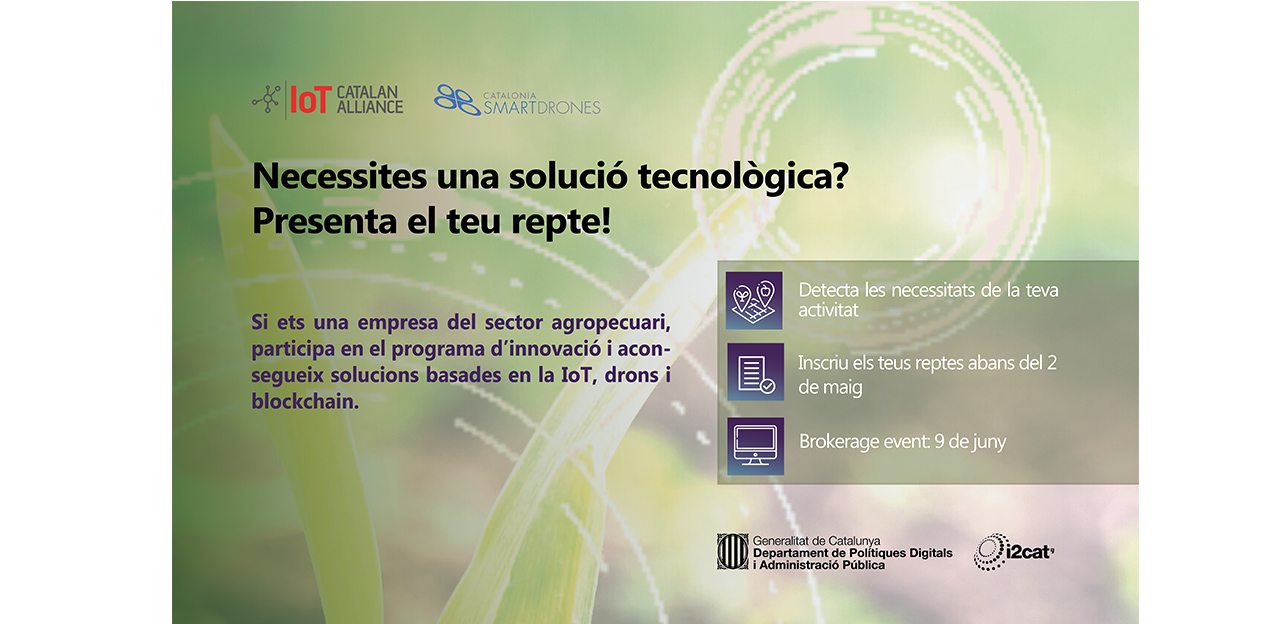 Programa d'innovació