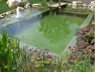 Sistemes de tractament d’aigua residual com a elements del jardí i piscines naturals