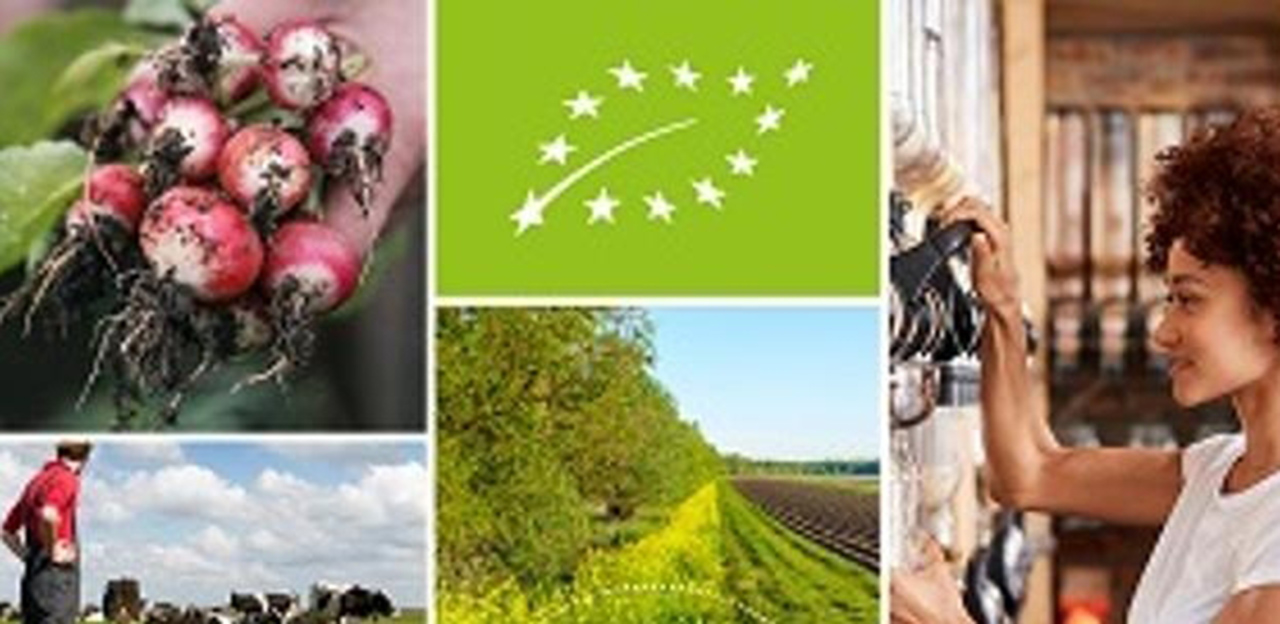 Producció ecològica a la UE