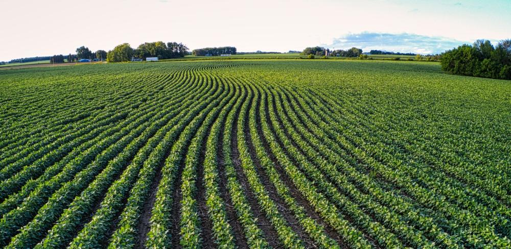 Al llarg del matí es duran a terme diverses presentacions i espais de trobada centrats en l’assessorament agroalimentari, la digitalització i els serveis de suport al sector