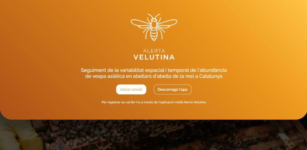 Pantalla d’entrada a l’aplicació Alerta Velutina