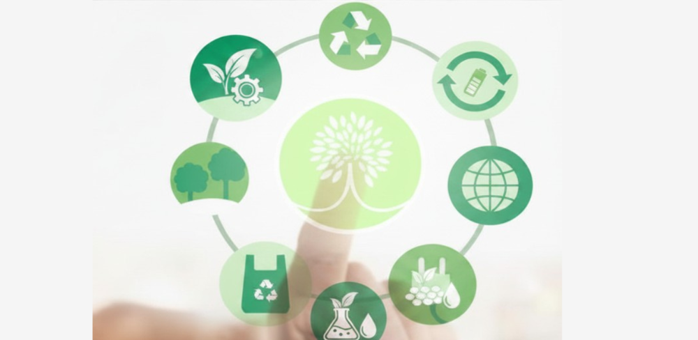 Representació dels àmbits d'actuació de la bioeconomia sostenible