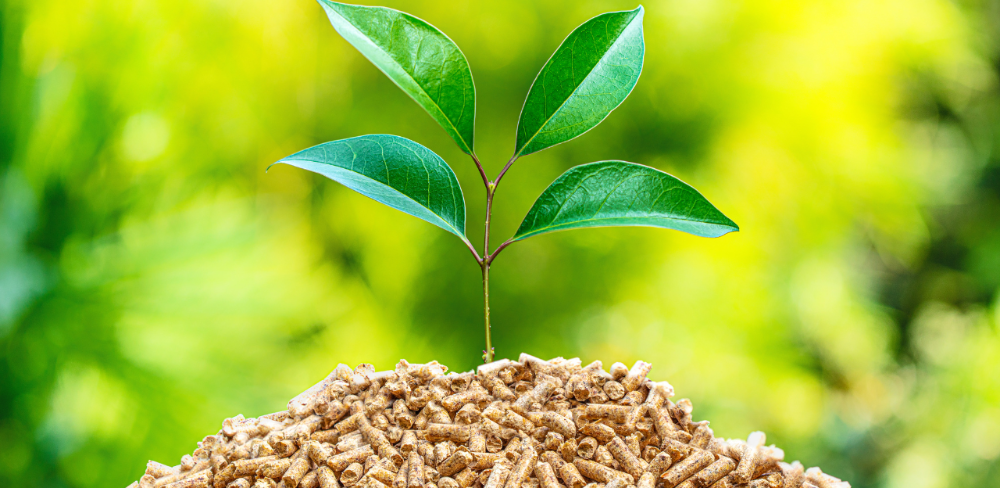 Biomassa vegetal utilitzada com a base per al desenvolupament de materials d’envasat de base biològica.