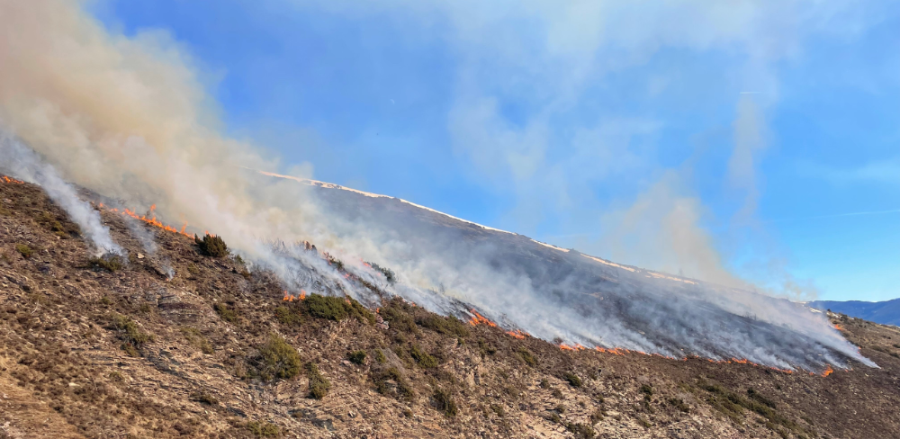 En la temporada actual ja s’han realitzat actuacions a diverses comarques com l’Alt Urgell, el Pallars Sobirà, Osona, l’Alta Ribagorça, la Cerdanya i el Ripollès