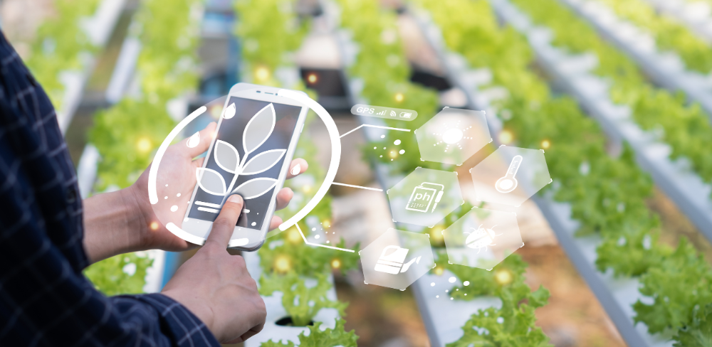 La digitalització i l'ús de dades agrícoles són eines clau per avançar cap a un sector més sostenible i competitiu a escala europea