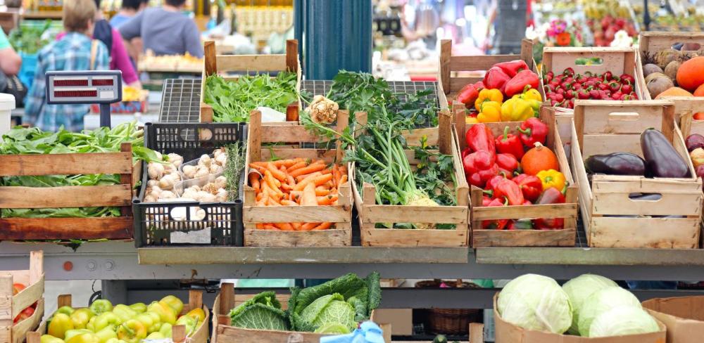 Els mercats de pagès són una eina clau per transformar el sistema alimentari: fomenten la venda directa, enforteixen l’economia local i connecten el món rural amb l’urbà