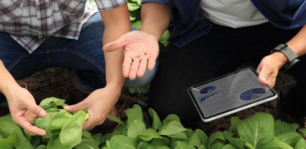 L’objectiu és professionalitzar la gestió de la innovació a les empreses agroalimentàries